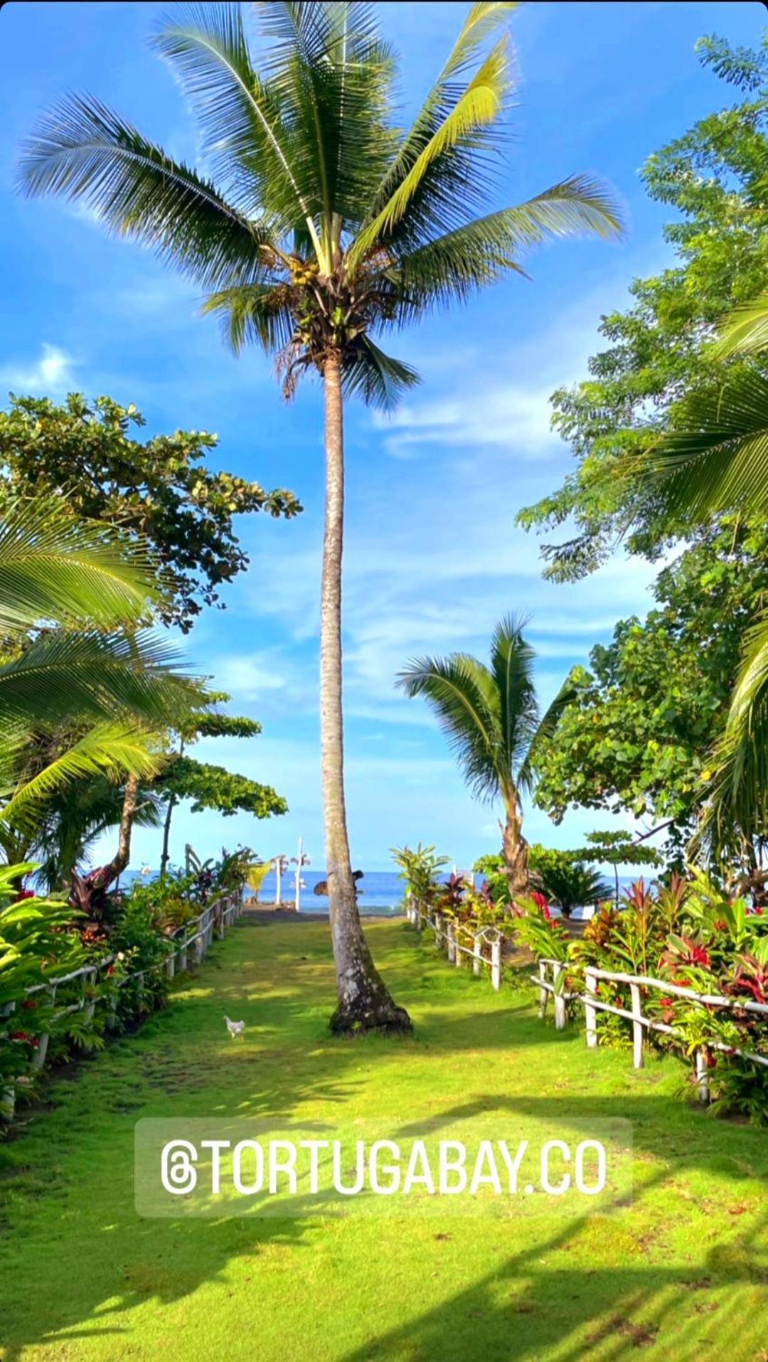 Tortuga Bay Eco Hotel Эль-Валье Экстерьер фото